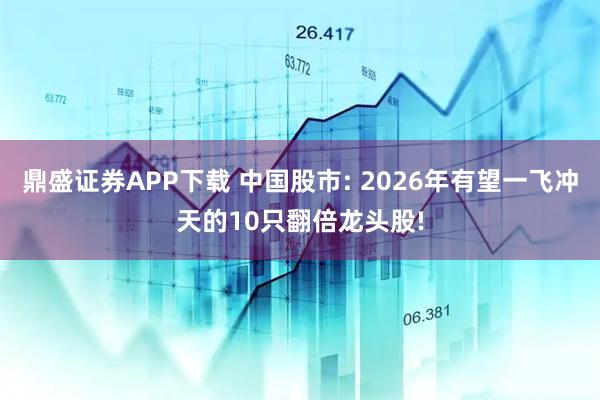 鼎盛证券APP下载 中国股市: 2026年有望一飞冲天的10只翻倍龙头股!